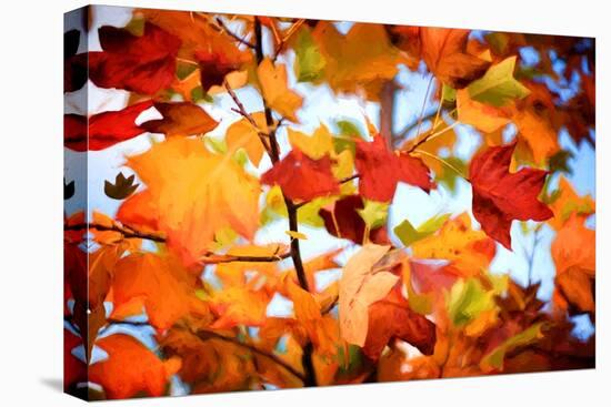 Autumn Paintography-Philippe Sainte-Laudy-Premier Image Canvas