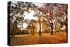 Autumn Panorama in Park-TTstudio-Premier Image Canvas