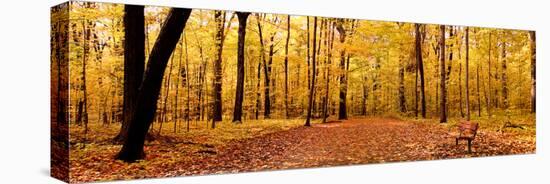 Autumn Panorama-SNEHITDESIGN-Premier Image Canvas