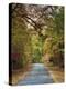 Autumn Passage 3-Jai Johnson-Premier Image Canvas