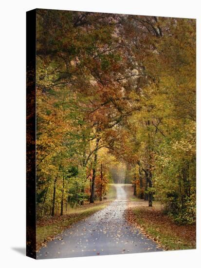 Autumn Passage 4-Jai Johnson-Premier Image Canvas