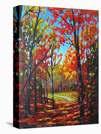 Autumn Path in Old Kinderhook, New York-Patty Baker-Stretched Canvas