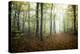 Autumn Path-Philippe Manguin-Premier Image Canvas