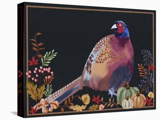 Autumn Pheasant II-Regina Moore-Stretched Canvas