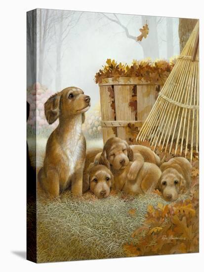 Autumn Playtime-Ruane Manning-Stretched Canvas