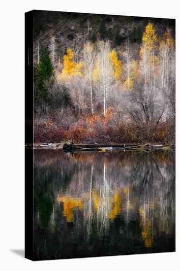 Autumn Reflection-Ursula Abresch-Premier Image Canvas