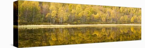 Autumn Reflections, Cairngorms National Park, Highlands, Scotland, UK-Nadia Isakova-Premier Image Canvas