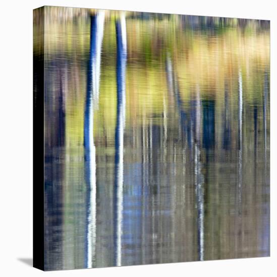 Autumn Reflections-Doug Chinnery-Premier Image Canvas