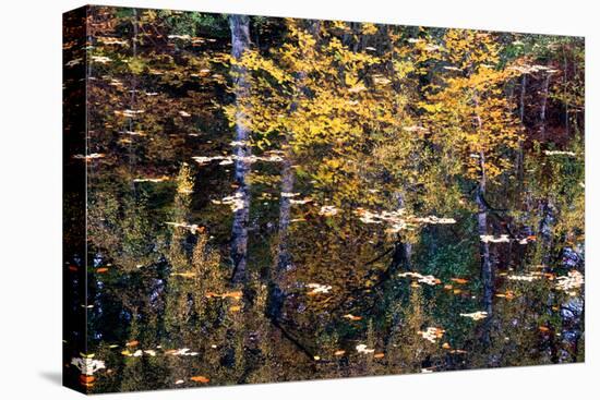 Autumn Reflections-Doug Chinnery-Premier Image Canvas