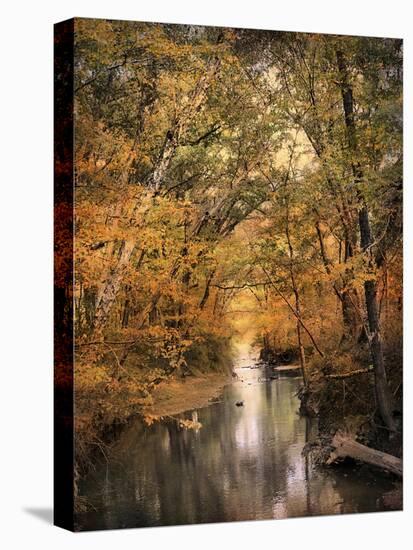 Autumn Riches 2-Jai Johnson-Premier Image Canvas