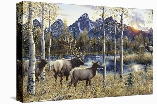 Autumn Rival-Jeff Tift-Premier Image Canvas