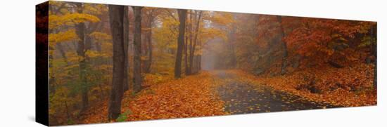 Autumn Road, Monadnock Mountain, New Hampshire, USA-null-Premier Image Canvas