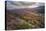 Autumn Road Through the White Mountains, New Hampshire-Vincent James-Premier Image Canvas