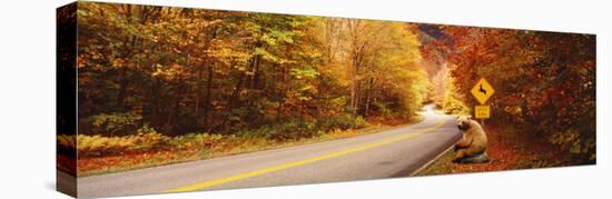 Autumn Road with Bear at Deer Crossing Sign, Vermont, USA-null-Premier Image Canvas