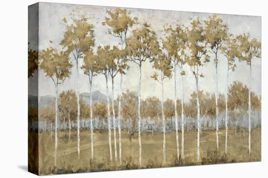 Autumn's Golden Vista-Jill Schultz McGannon-Stretched Canvas