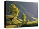 Autumn Scenery, Meadows, Trees-Thonig-Premier Image Canvas