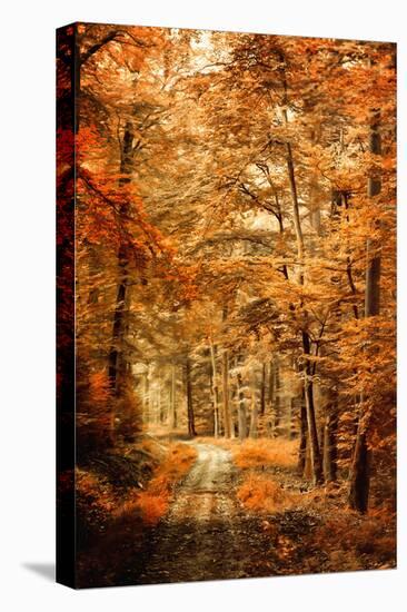 Autumn Secret-Philippe Sainte-Laudy-Premier Image Canvas