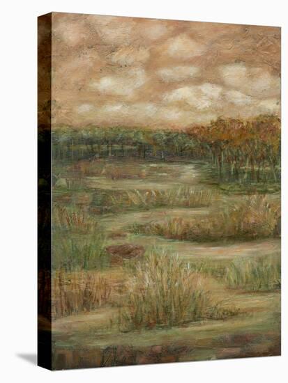 Autumn Sky I-Beverly Crawford-Stretched Canvas