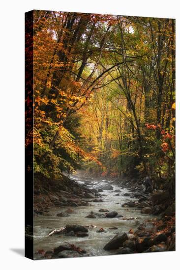 Autumn Stream of Dreams, Deep Vermont in Fall, Outside Burlington-Vincent James-Premier Image Canvas