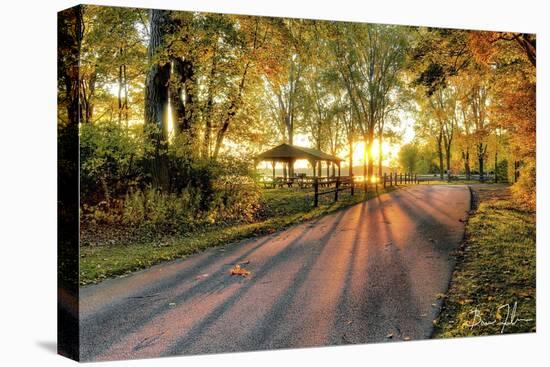 Autumn Sunrays-5fishcreative-Premier Image Canvas