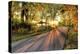 Autumn Sunrays-5fishcreative-Premier Image Canvas