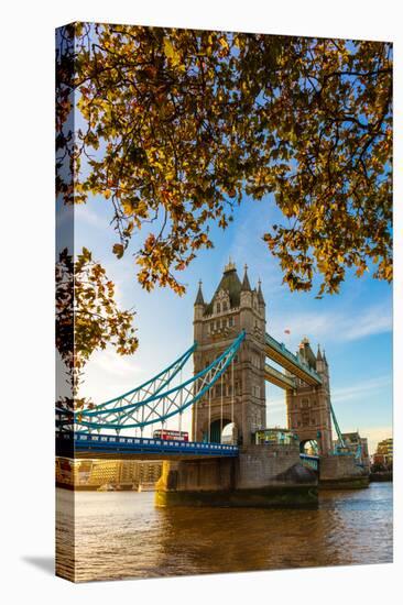 Autumn sunrise in grounds of the Tower of London, with Tower Bridge, London-Ed Hasler-Premier Image Canvas