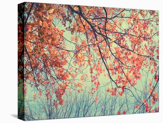 Autumn Tapestry II-Judy Stalus-Premier Image Canvas