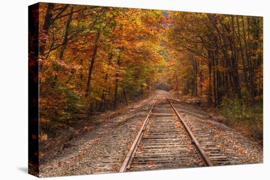 Autumn Tracks into Fall, Bartlett, New Hampshire-Vincent James-Premier Image Canvas