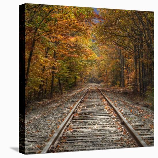 Autumn Tracks (Square), New Hampshire-Vincent James-Premier Image Canvas