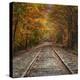 Autumn Tracks (Square), New Hampshire-Vincent James-Premier Image Canvas