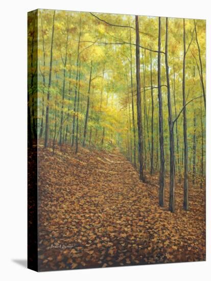 Autumn Trail-Bruce Dumas-Premier Image Canvas