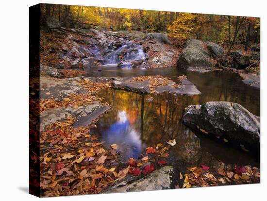 Autumn Tranquility, Upper Whiteoak Falls, Shenandoah NP, Virginia, USA-Jerry Ginsberg-Premier Image Canvas