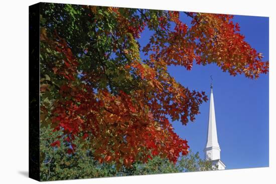 Autumn tree branch and church steeple, Vermont, USA-Panoramic Images-Premier Image Canvas