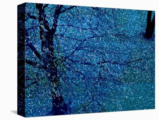 Autumn Tree in Blue, Green, and Purple-Robert Cattan-Premier Image Canvas