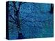 Autumn Tree in Blue, Green, and Purple-Robert Cattan-Premier Image Canvas
