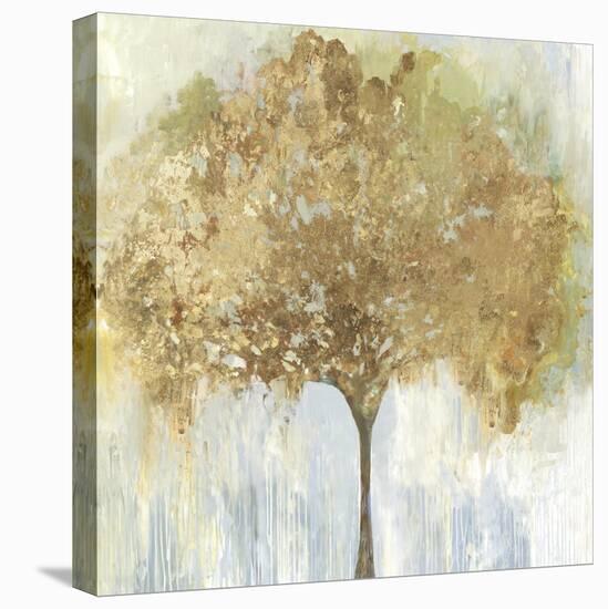 Autumn Tree-Allison Pearce-Stretched Canvas