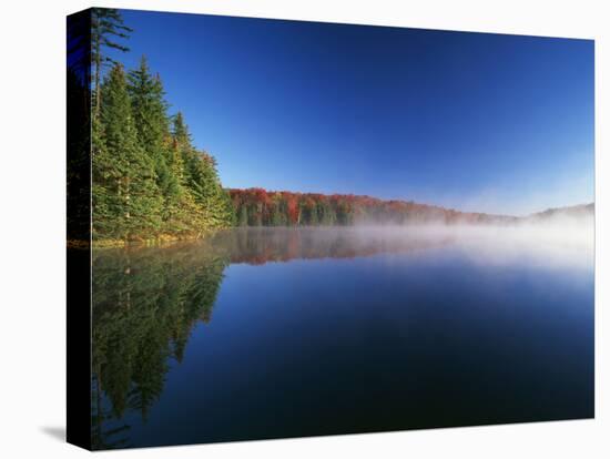 Autumn Trees, Adams Reservoir, Woodford State Park, Vermont, USA-Adam Jones-Premier Image Canvas