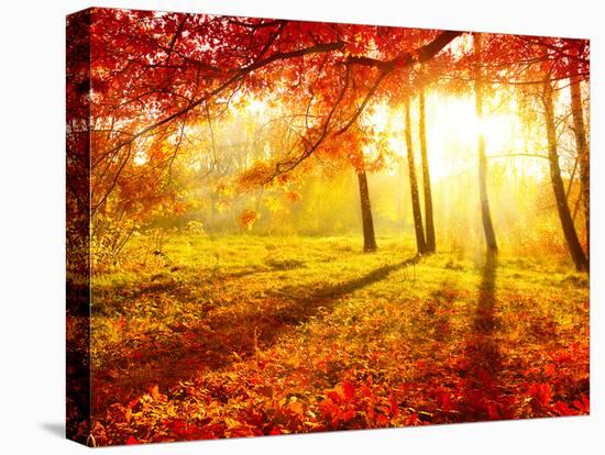 Autumn Trees and Leaves-Subbotina Anna-Premier Image Canvas