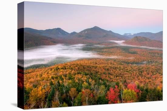 Autumn trees in a forest from Mount Van Hoevenberg, Adirondack Mountains State Park, New York St...-null-Premier Image Canvas