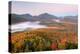 Autumn trees in a forest from Mount Van Hoevenberg, Adirondack Mountains State Park, New York St...-null-Premier Image Canvas