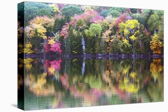Autumn Trees, Reflection, Great Long Pond, Somesville, Mount Desert Island, Maine, Usa-Michel Hersen-Premier Image Canvas
