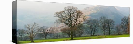 Autumn Trees with Mountain in the Background, Langdale, Lake District National Park, Cumbria-null-Stretched Canvas