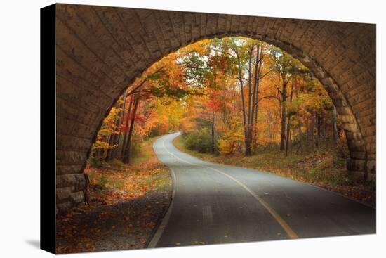 Autumn Tunnel Vision-Vincent James-Premier Image Canvas
