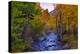 Autumn View in Bishop Creek Canyon, Yosemite California-Vincent James-Premier Image Canvas