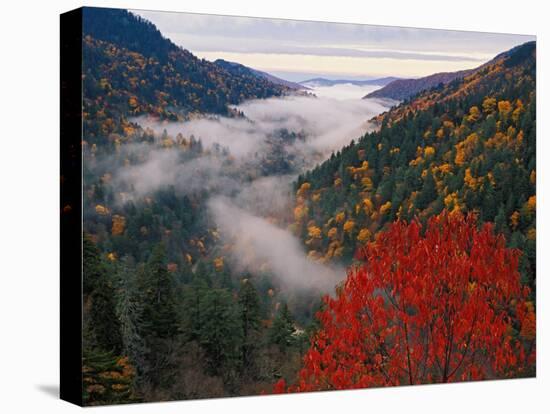 Autumn View of Fog from Morton Overlook, Great Smoky Mountains National Park, Tennessee, USA-Adam Jones-Premier Image Canvas