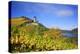 Autumn View of the Castle Ruin FŸrstenberg over the Village Rheindiebach-Uwe Steffens-Premier Image Canvas