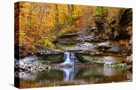 Autumn waterfall in McCormics Creek State Park, Indiana, USA-Anna Miller-Premier Image Canvas