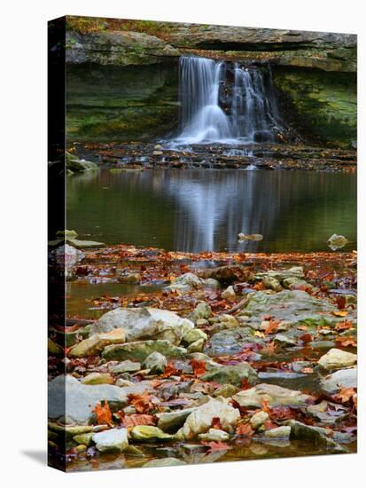 Autumn waterfall in McCormics Creek State Park, Indiana, USA-Anna Miller-Premier Image Canvas