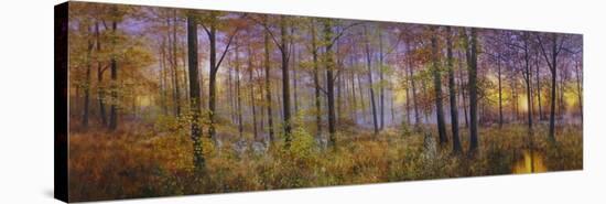 Autumn Wolves-Bill Makinson-Premier Image Canvas