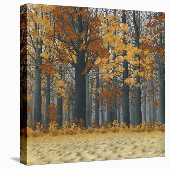 Autumn Wood-Timothy Arzt-Stretched Canvas